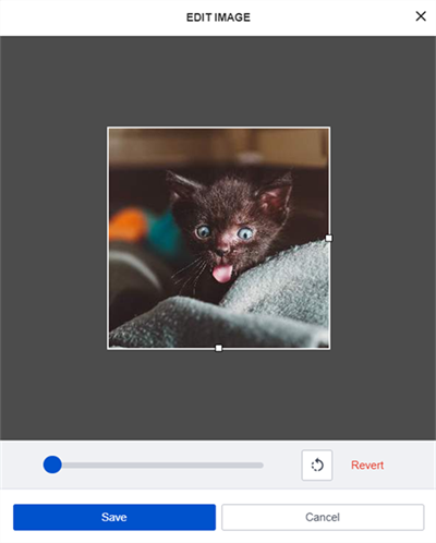 The cropping tool.