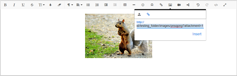 Inserting an image into the WYSIWYG editor.