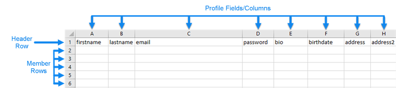 Columns correspond to profile fields and rows correspond to users.