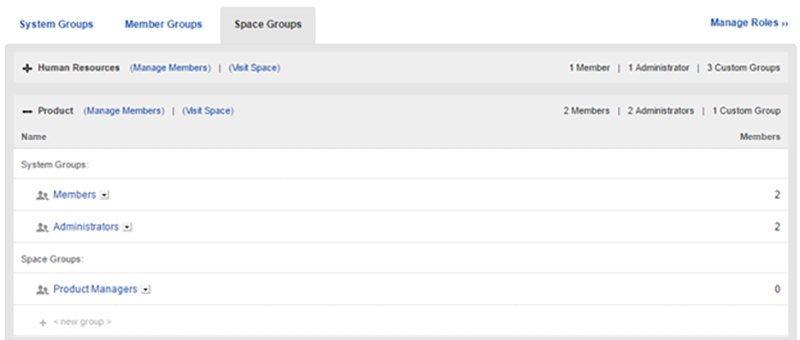 The Space Groups tab of the Manager Members page.