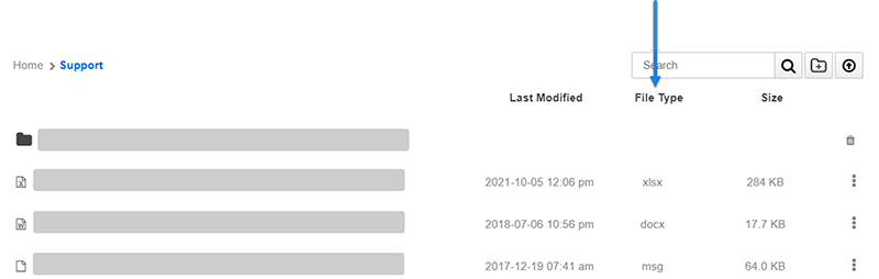 The File Type column.