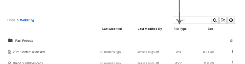 The File Type column.