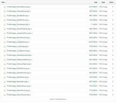 Files displayed using the details view.