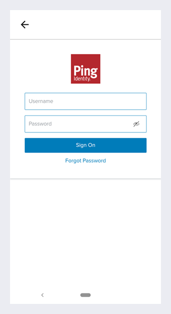 The IdP sign in page.