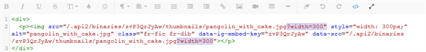 Code View Snippet of an image tag.