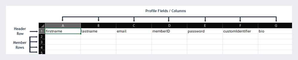 Columns correspond to profile fields and rows correspond to users.