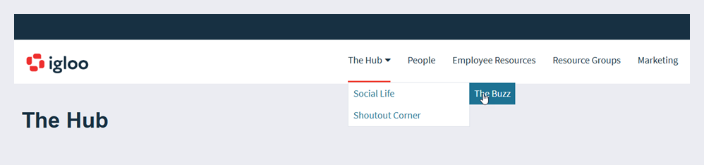 A menu item with a second level of navigation options.